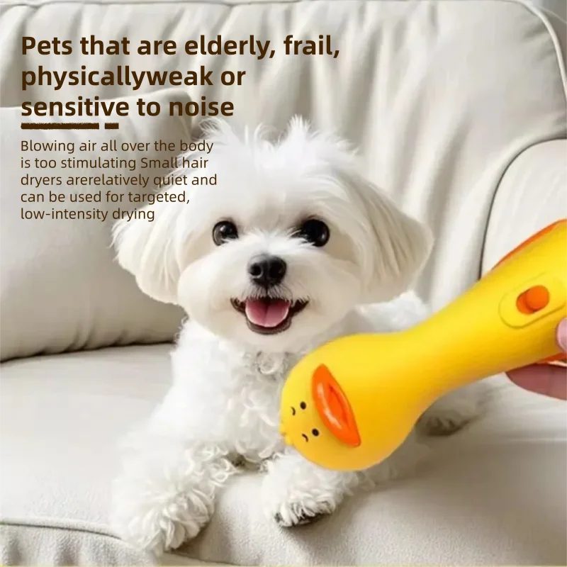 Pet Supplies For Less - เครื่องเป่าขนสัตว์เลี้ยงขนาดเล็ก สำหรับสุนัขและแมว กำลังไฟ 70 วัตต์ เสียงเบา