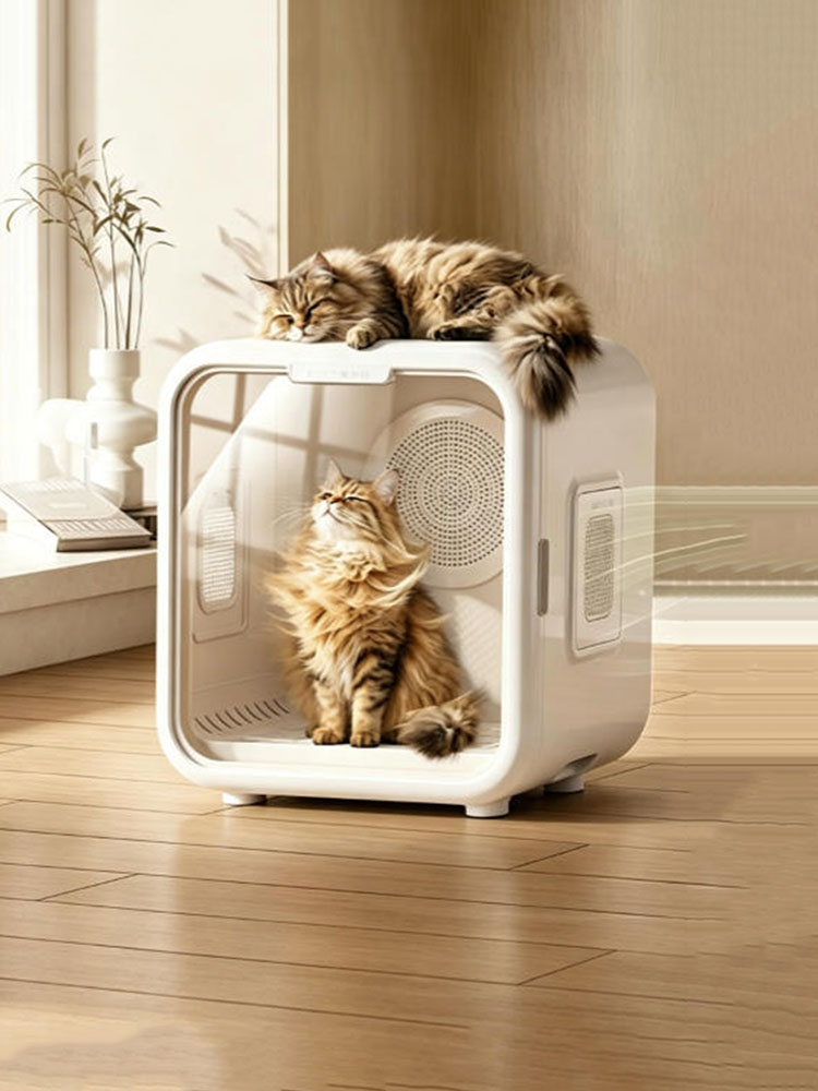 Pet Supplies For Less - กล่องอบแห้งสัตว์เลี้ยง เครื่องอบแห้งอัจฉริยะสำหรับแมว อุปกรณ์อาบน้ำสำหรับสุนัข เครื่องเป่าลมแห้งอัตโนมัติ เงียบสงบ อุปกรณ์กรูมมิ่งแมว