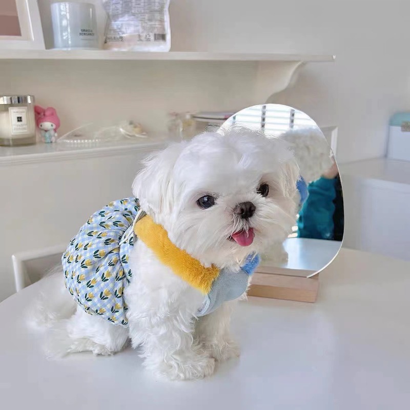 เสื้อผ้าสัตว์เลี้ยงสำหรับฤดูใบ - Pet Supplies For Less บทวิจารณ์และราคา