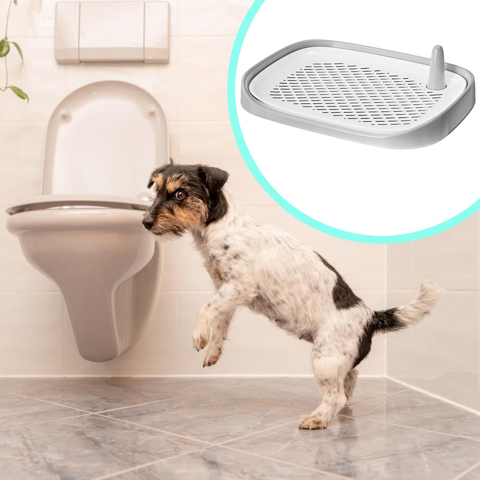 กระบะทรายสุนัข อุปกรณ์สำหรับสั - Pet Supplies For Less บทวิจารณ์และราคา