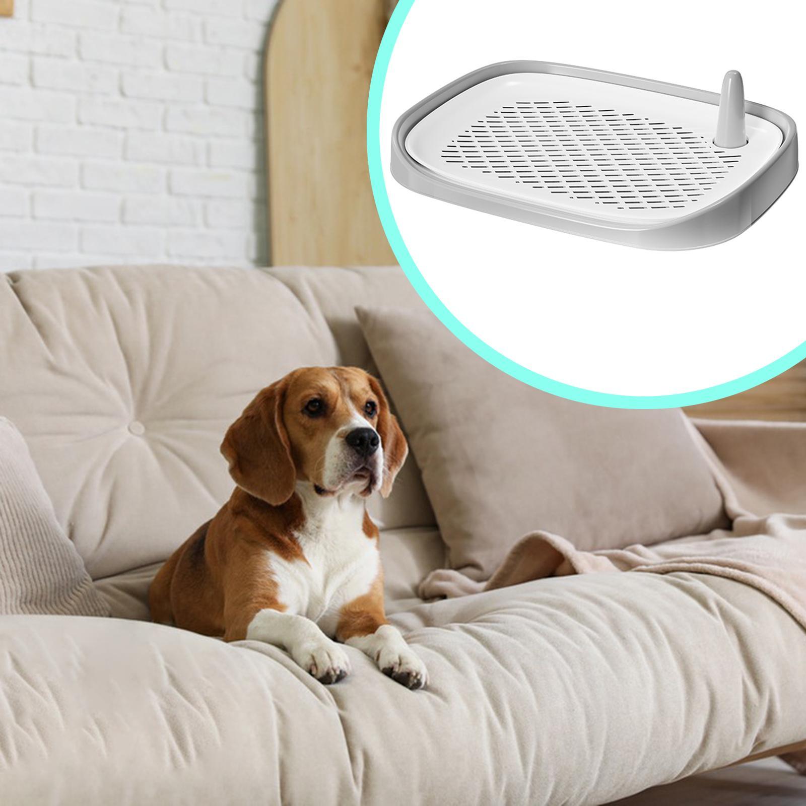 กระบะทรายสุนัข อุปกรณ์สำหรับสั - Pet Supplies For Less บทวิจารณ์และราคา