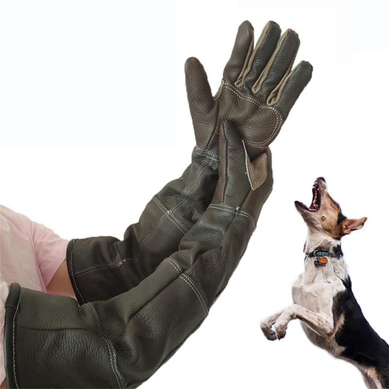 ถุงมือหนังวัวป้องกันการกัดป้อง - Pet Grooming Glove บทวิจารณ์และราคา