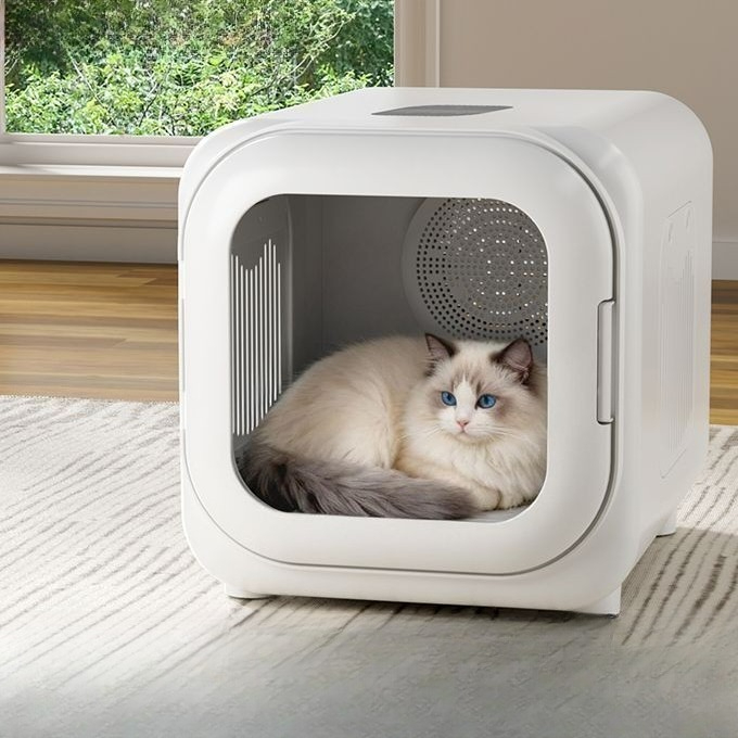 เครื่องเป่าขนสัตว์เลี้ยงอัจฉริ - Pet Supplies For Less บทวิจารณ์และราคา