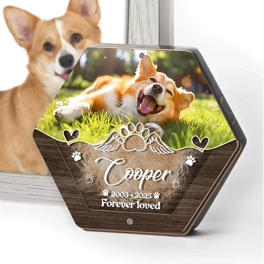 ส่วนบุคคลชื่อไม้แกะสลักสัตว์เล - Pet Supplies Vending Machine บทวิจารณ์และราคา