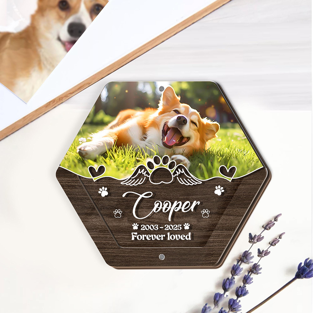 ส่วนบุคคลชื่อไม้แกะสลักสัตว์เล - Pet Supplies Vending Machine บทวิจารณ์และราคา