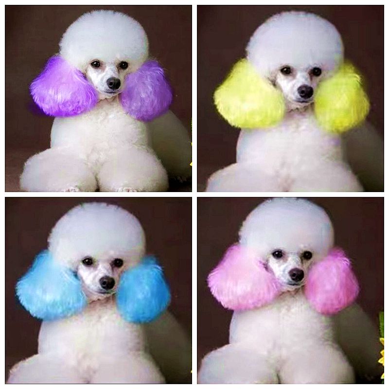 ครีมย้อมผมสำหรับสุนัขสีสดใสมีเ - Pet Supplies Vending Machine บทวิจารณ์และราคา