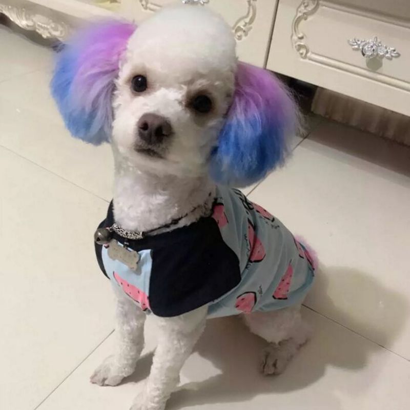ครีมย้อมผมสำหรับสุนัขสีสดใสมีเ - Pet Supplies Vending Machine บทวิจารณ์และราคา